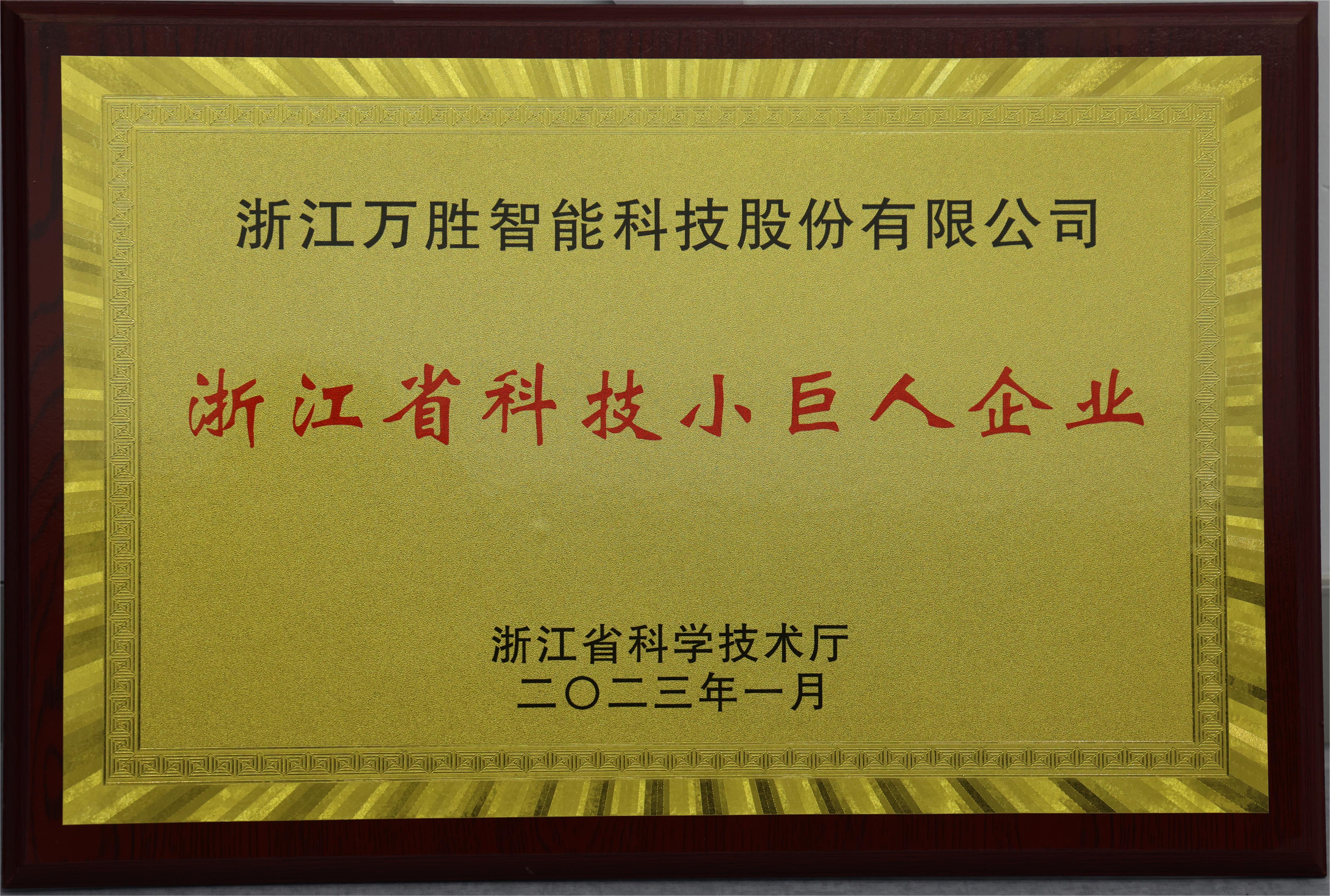 1、浙江省科技小巨人企業(yè).JPG